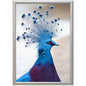 Klikramme med 17mm aluminium profil, slv - 70 x 100 cm