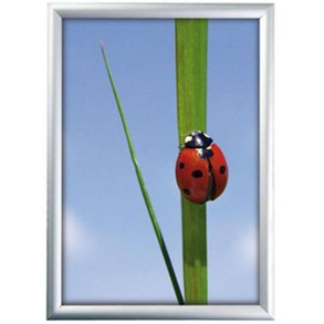 Klikramme med 25mm aluminium profil, slv - A3