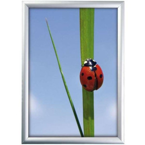 Klikramme med 25mm aluminium profil, slv - 70 x 100 cm