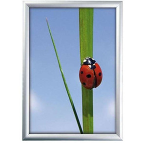 Klikramme med 25mm aluminium profil, slv - A4